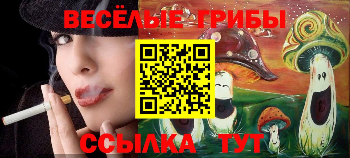 Галлюциногенные грибы ЛСД  Вход с VPN  купить закладку  Сланцы 