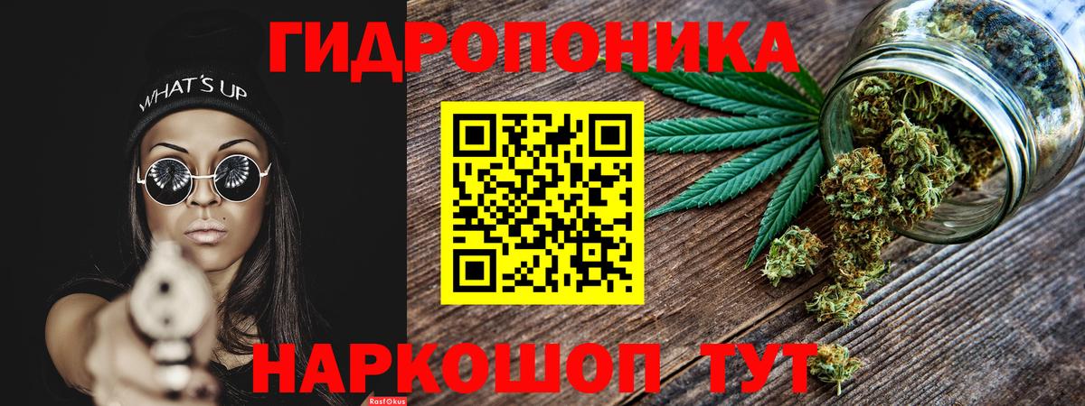 Канабис марихуана Сланцы